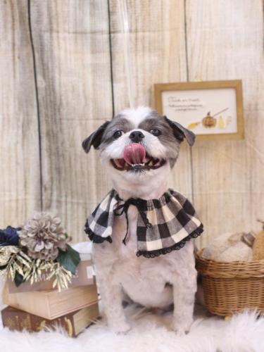 20241024大吉くん